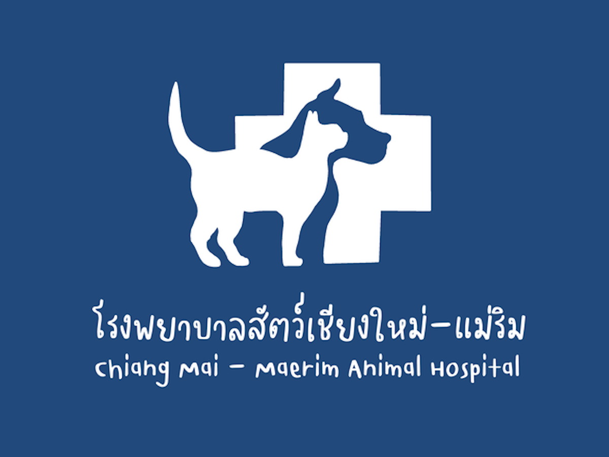 10 โรงพยาบาลสัตว์ เชียงใหม่ ปี 2023 รวมคลินิก พร้อมเปิด 24 ชั่วโมง | Mybest