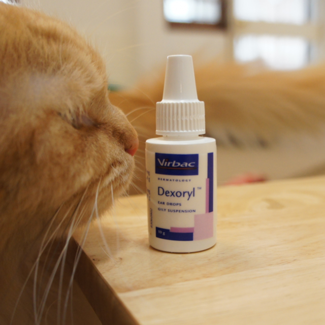 Virbac Dexoryl Ear Drops ยาหยอดหู สำหรับสุนัขและแมว 1