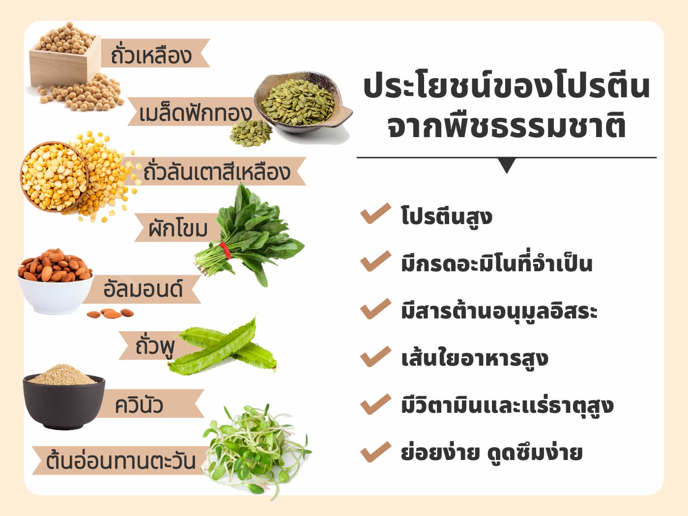 แลคโตสฟรี ยี่ห้อไหนดี