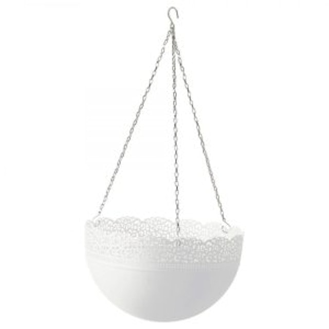 My Image 4